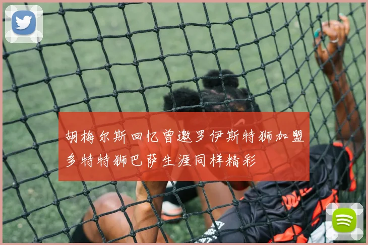 胡梅尔斯回忆曾邀罗伊斯特狮加盟多特特狮巴萨生涯同样精彩
