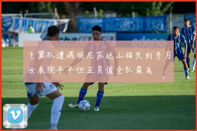 飞翼队遭遇明尼苏达山猫失利李月汝表现平平但正负值全队最高